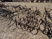 Houe a cereales - Houe a cheval 1 (ph F. Mrugala, St Jean de Touslas)(1)